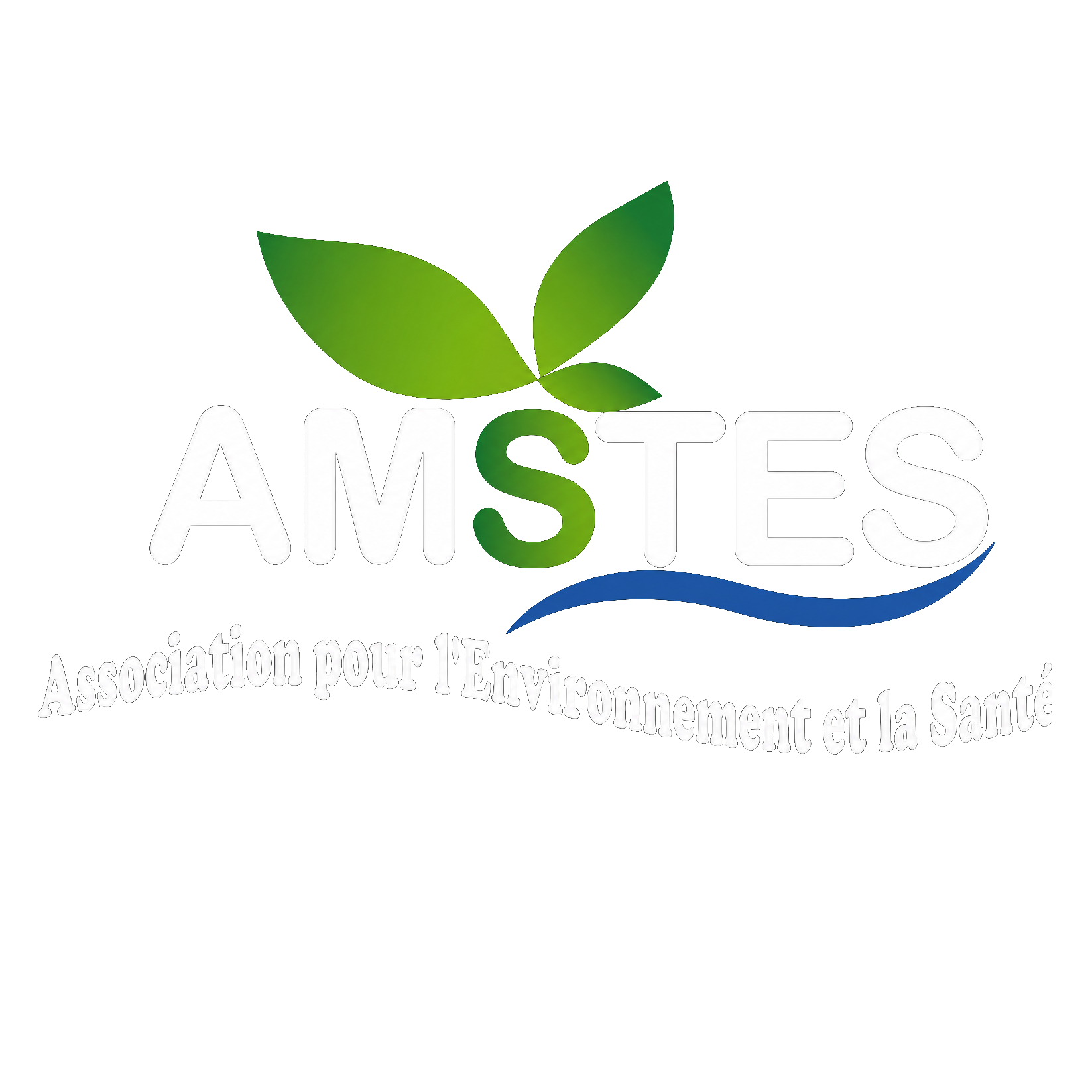 AMSTES Logo